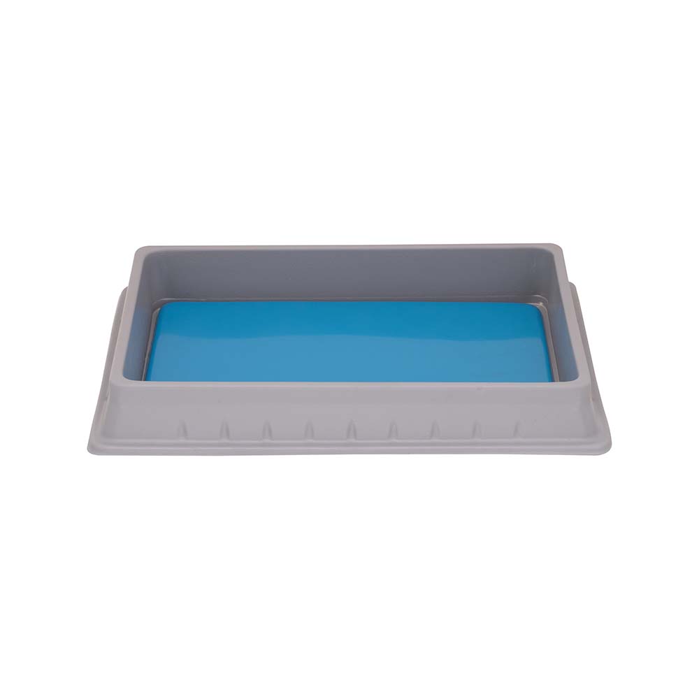 Dissection Tray, Polystyrene Supertek Edu