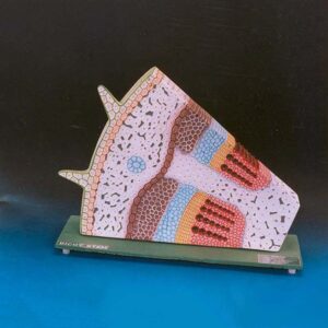 Dicot Stem Anatomy T. S. & L. S.