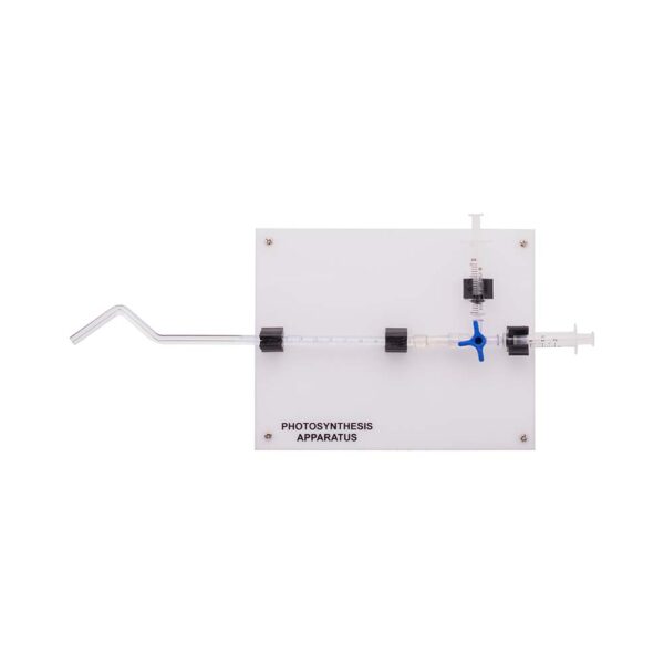 Photosynthesis Apparatus - Supertek Edu