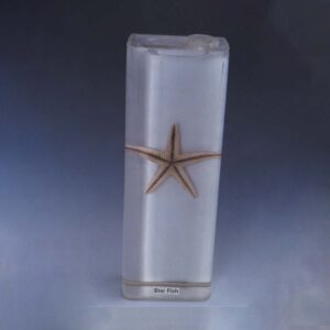 Plastic Embedded Specimen – Manufacturer & Supplier India | Supertek