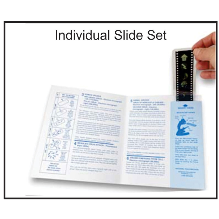 Microslide Viewer With Lesson Plan Essential Biology Laboratory